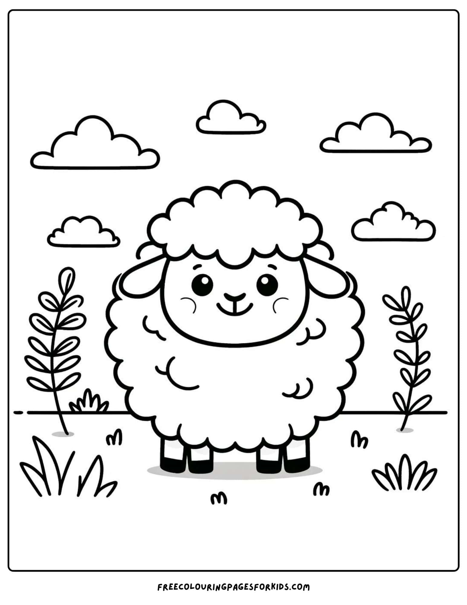 a happy sheep in a field