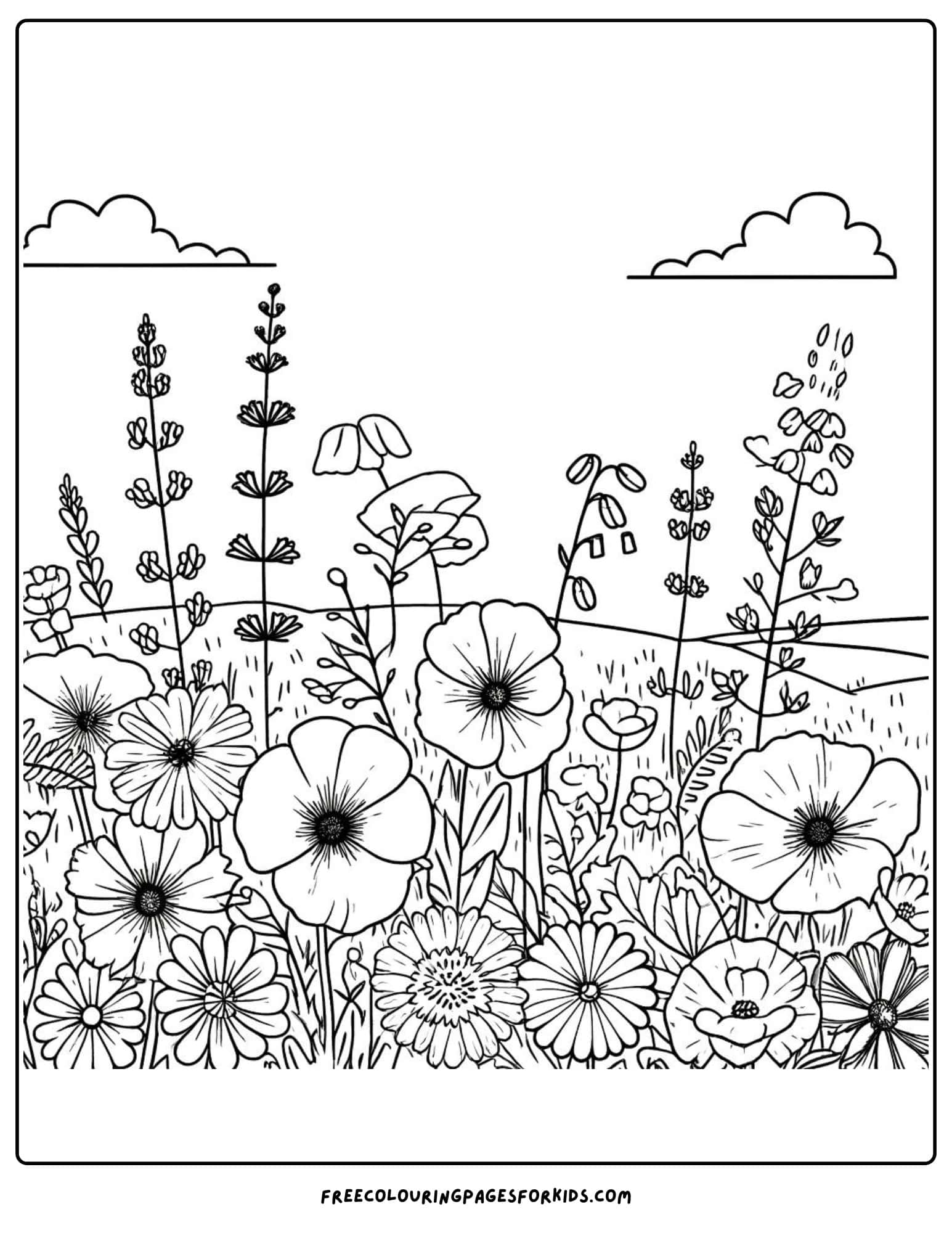 Wildflower Meadow Coloring Page