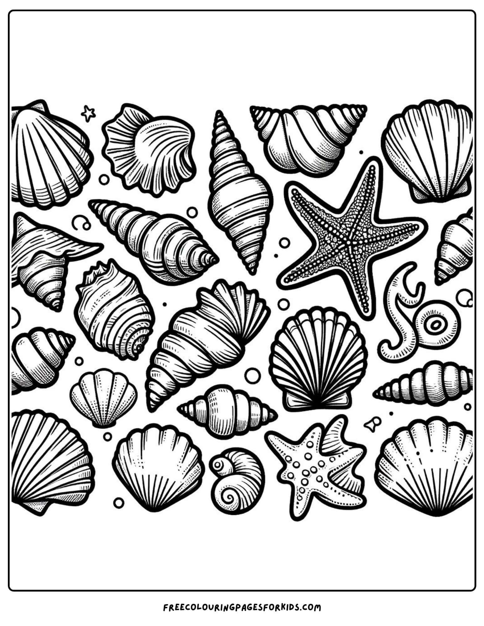 beach seashells coloring page