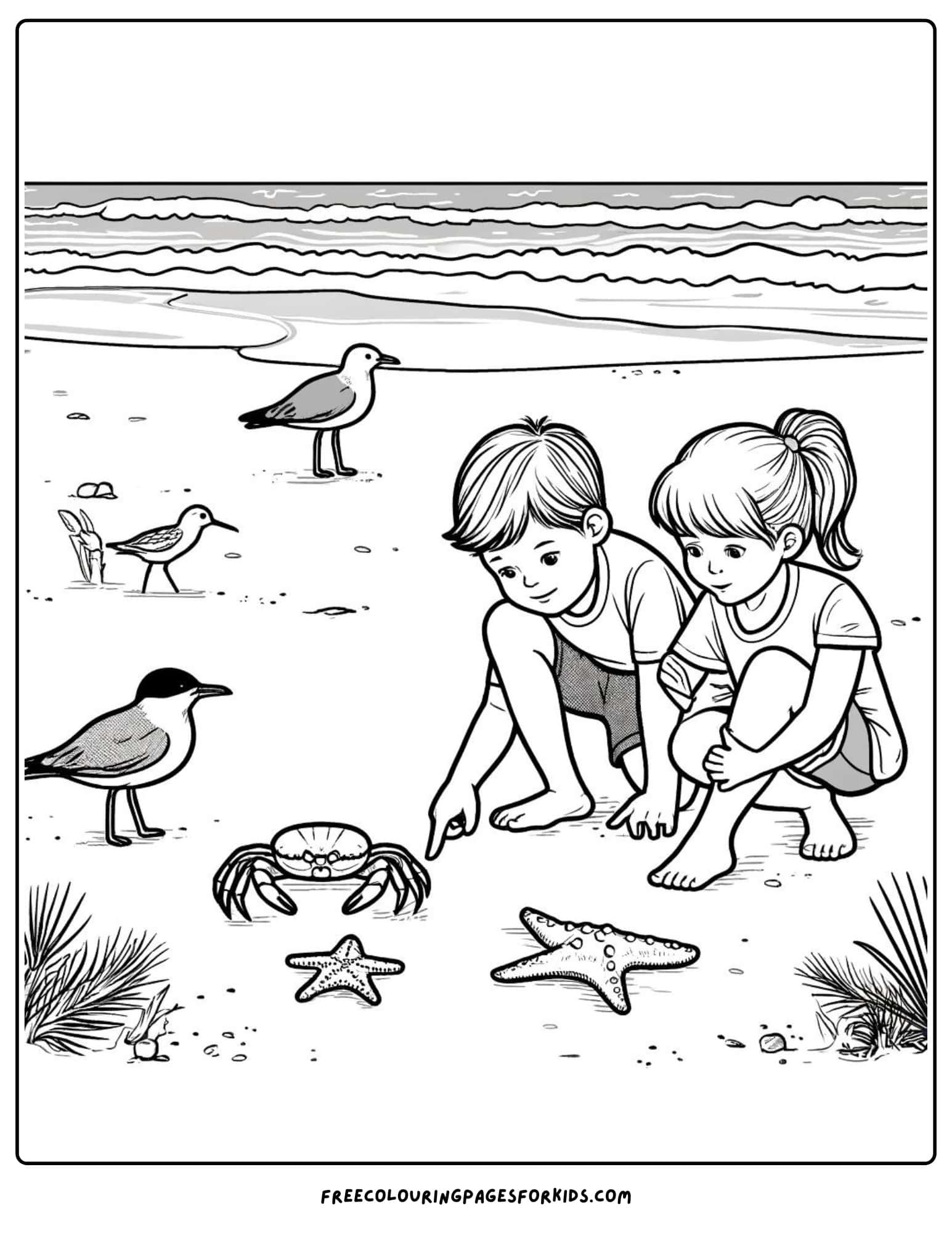 beach wildlife coloring page