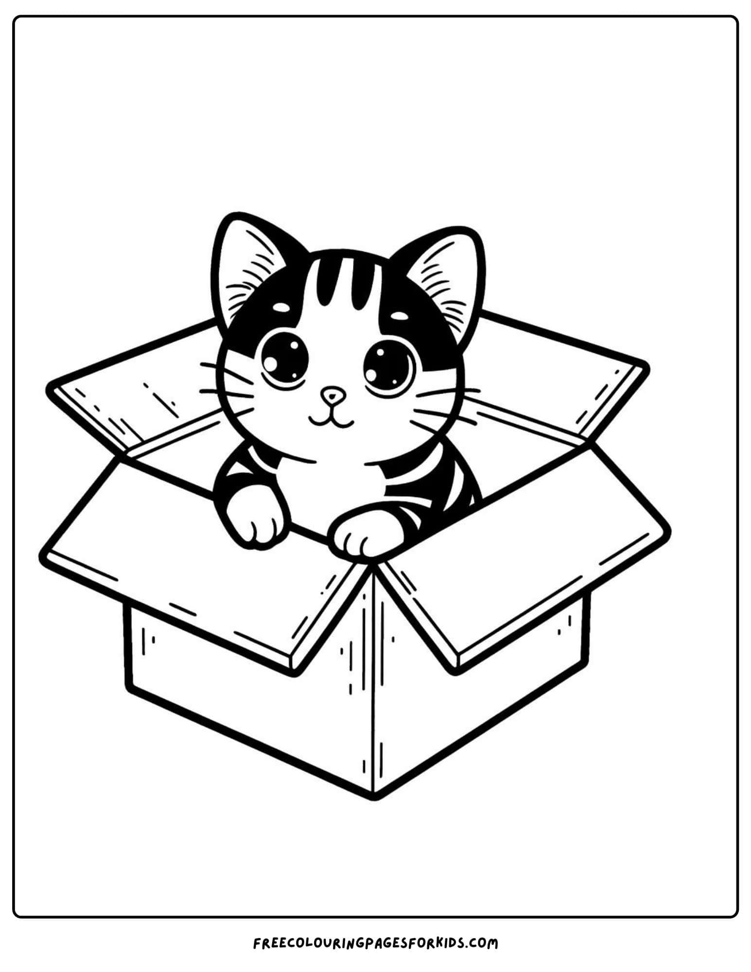 cat in a box coloring page