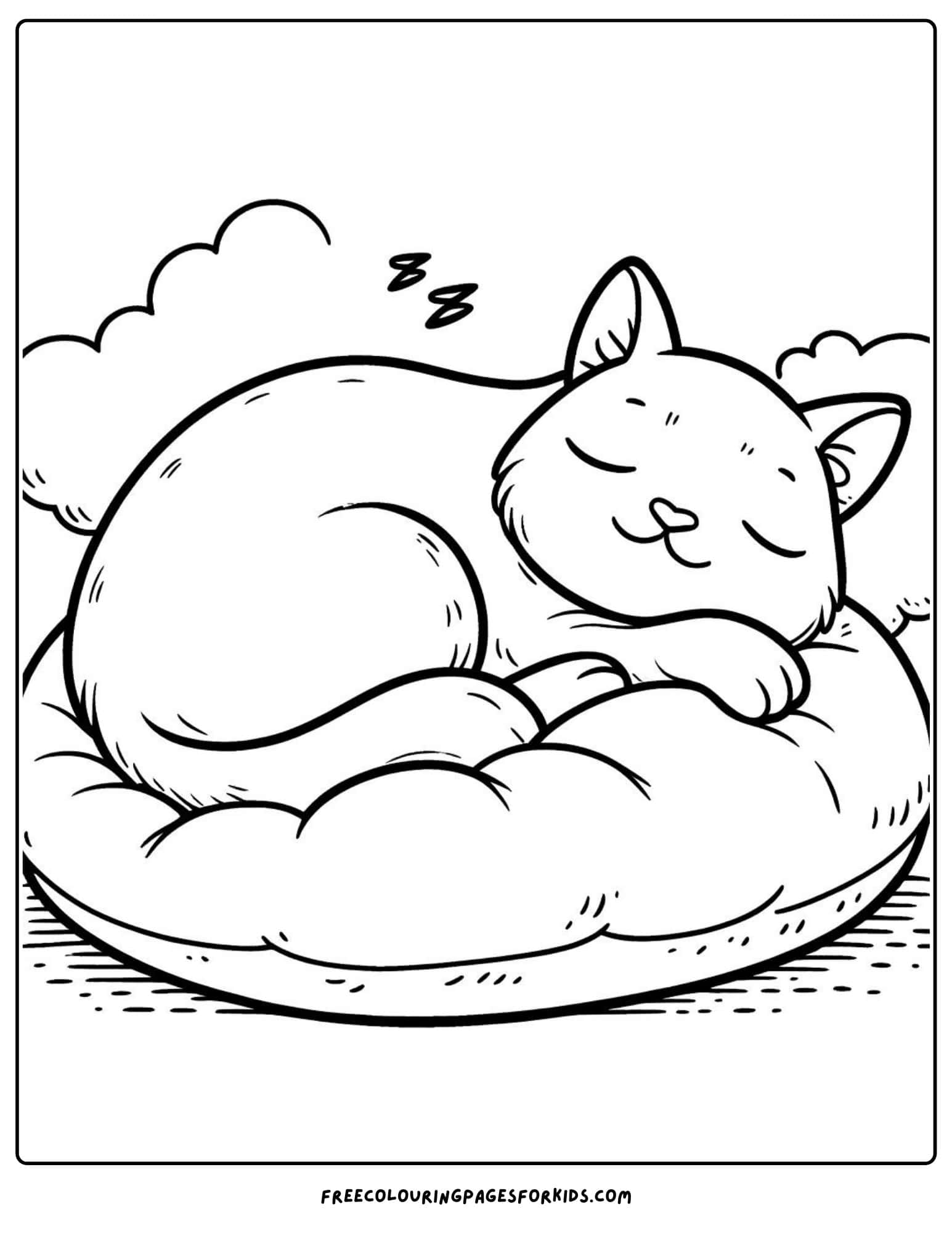 cat sleeping coloring page