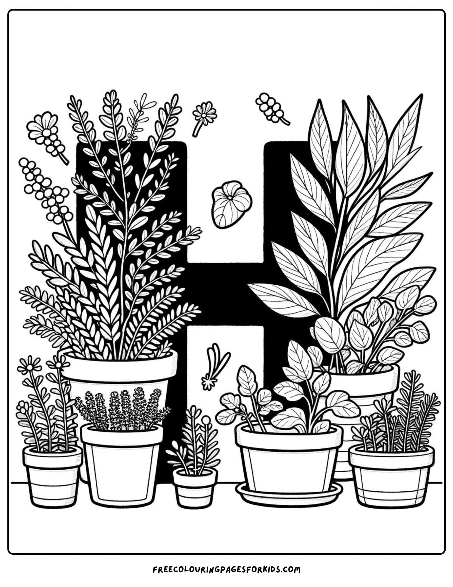 h for herbs coloring page