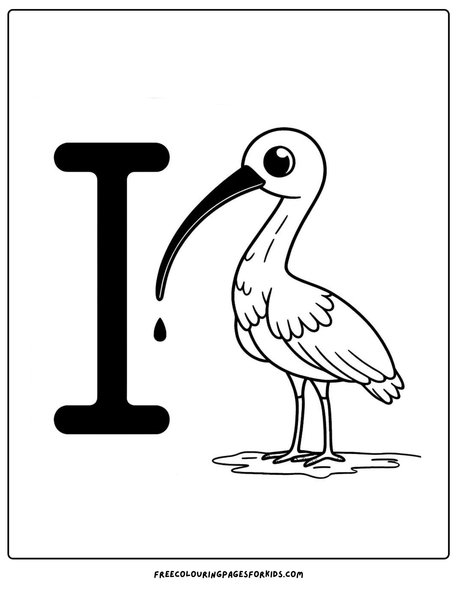 letter I for ibis coloring page