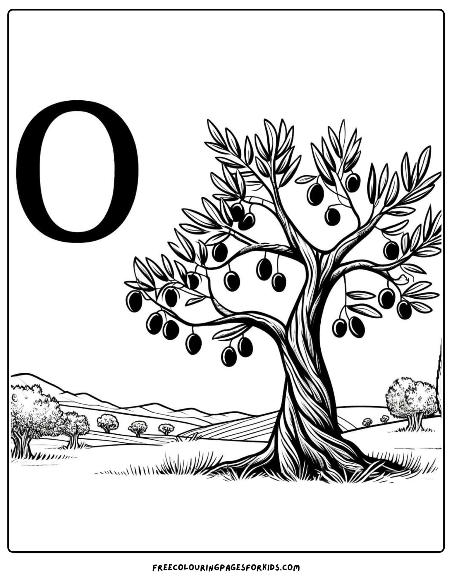 letter 0 for olive coloring page