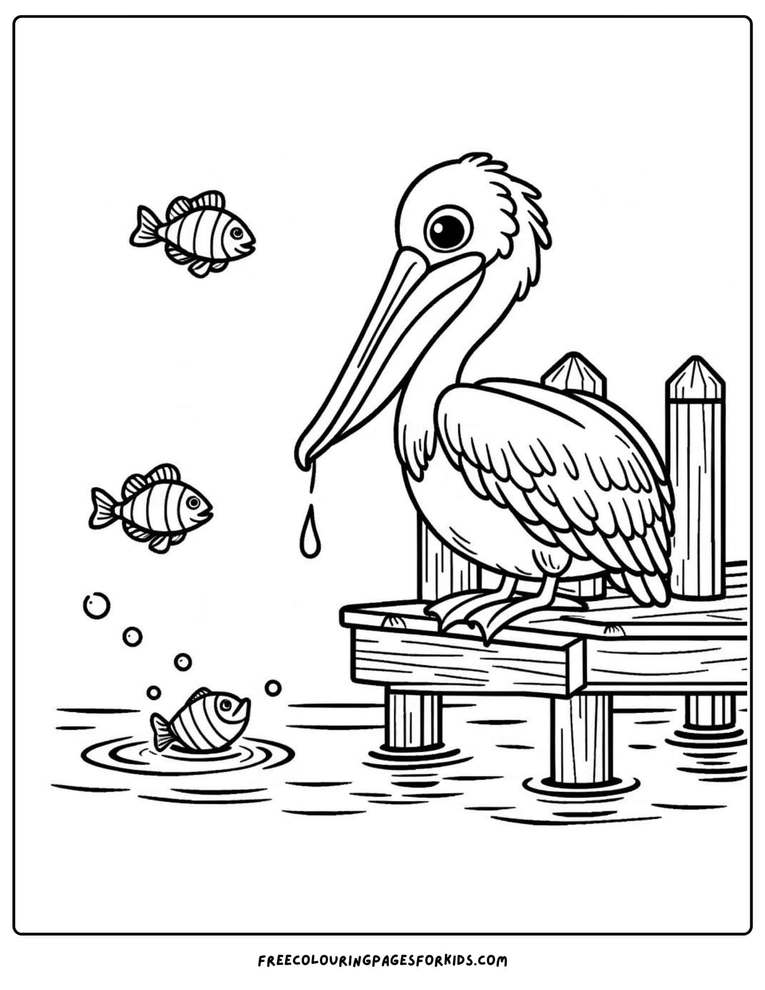 ocean pelican coloring page