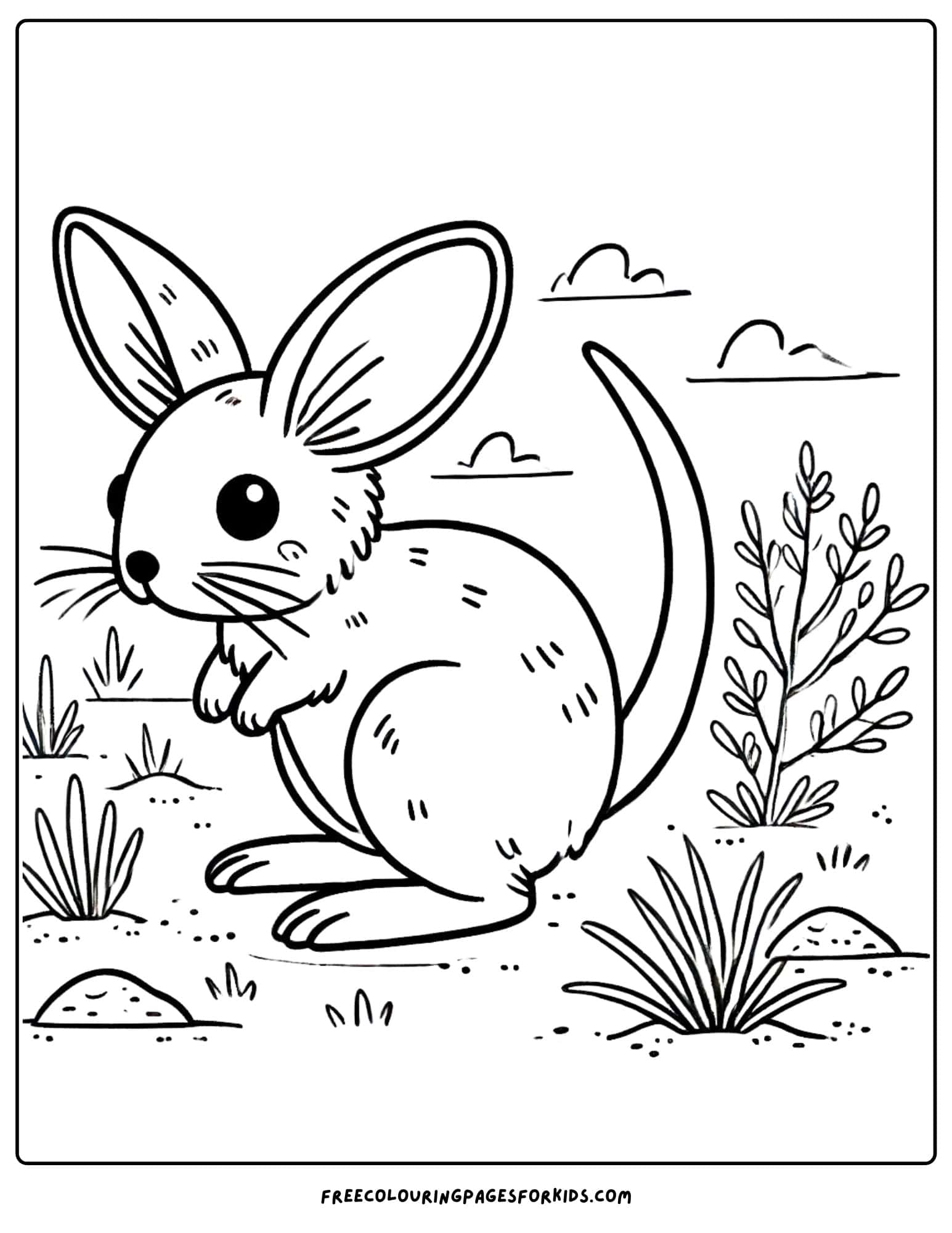 australian animal bilby coloring page