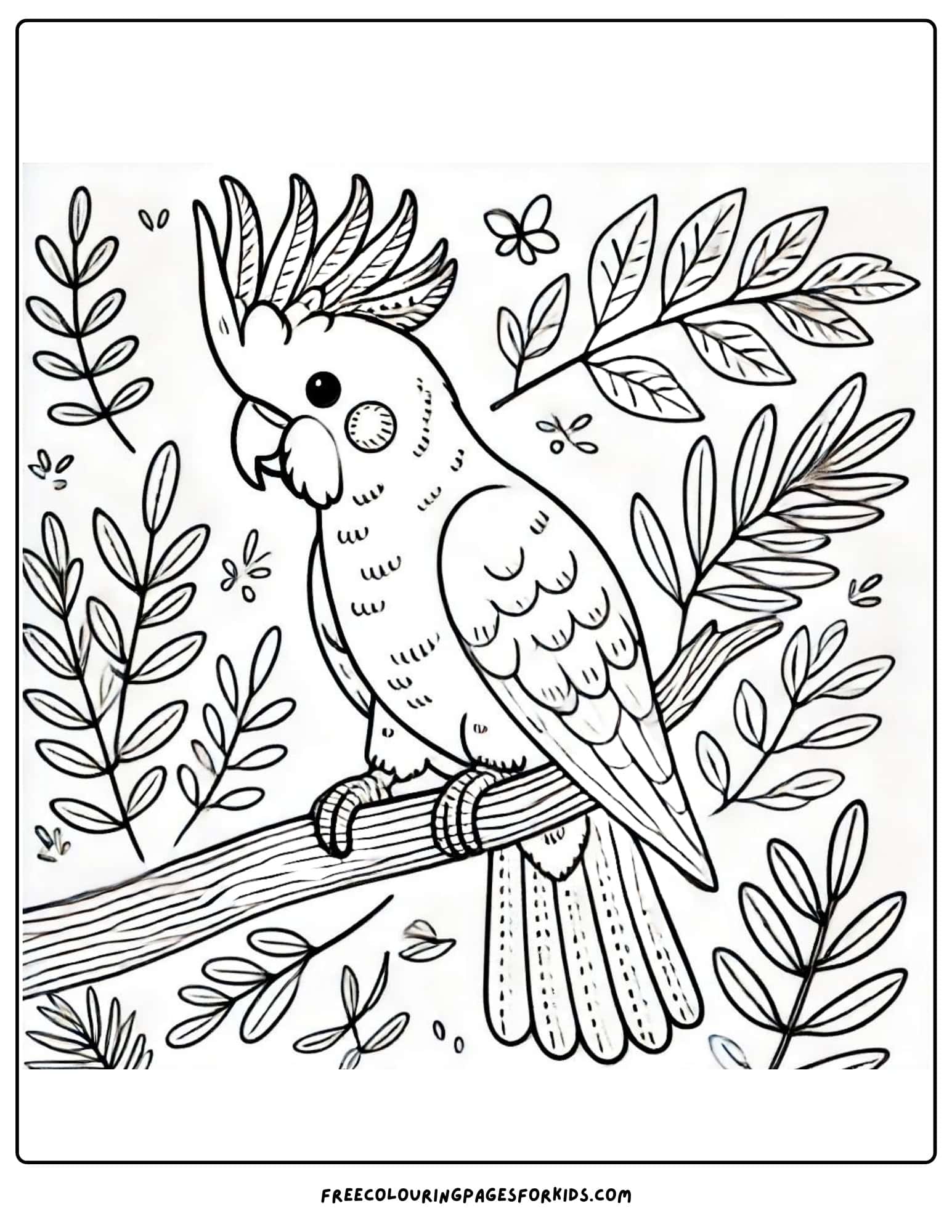 australian animal cockatoo coloring page