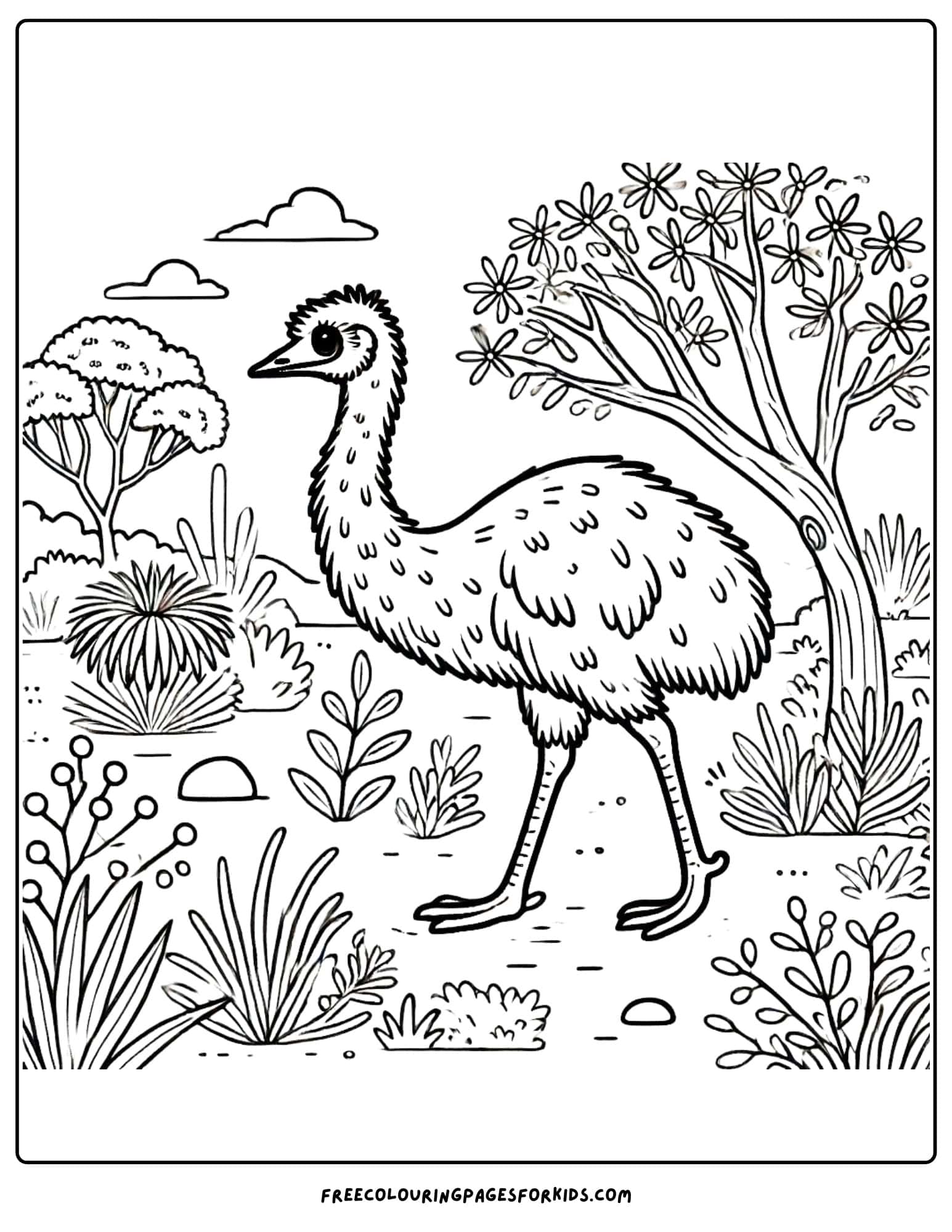 australian animal emu coloring page