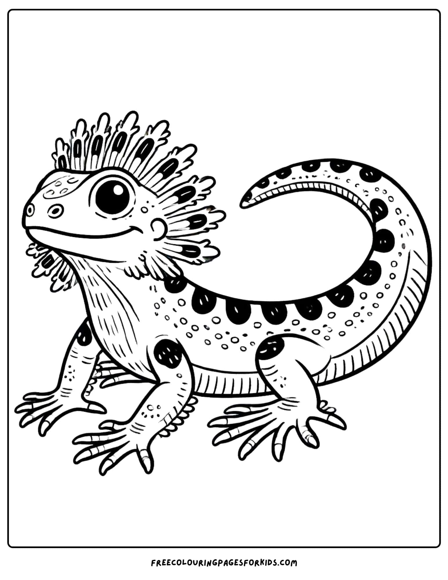 australian animal frill necked lizard coloring page