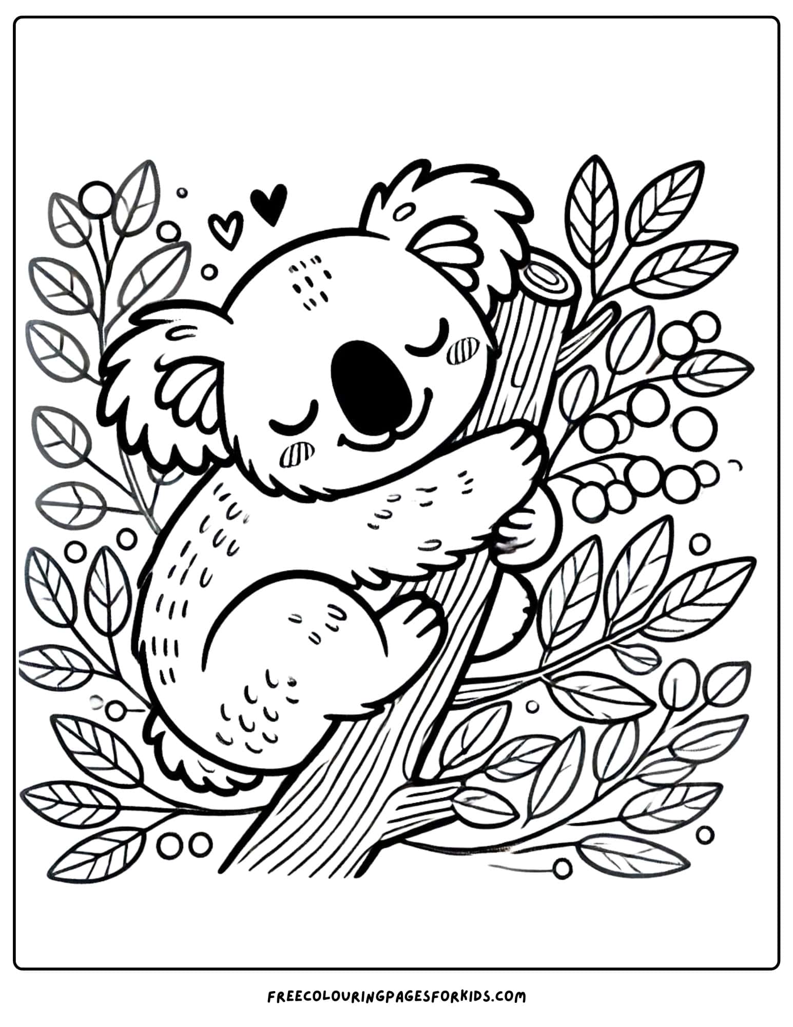 australian animal koala coloring page