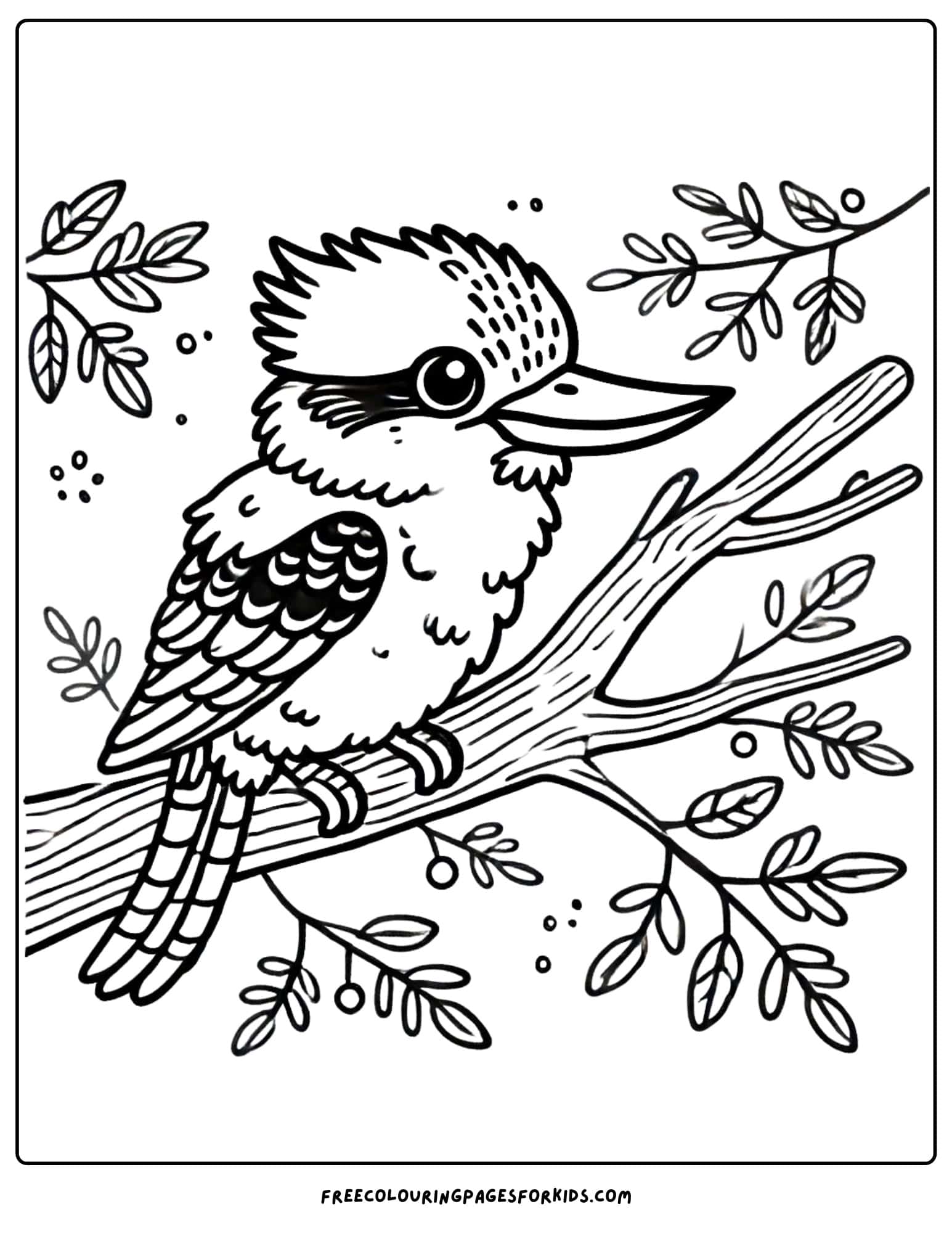 australian animal kookaburra coloring page