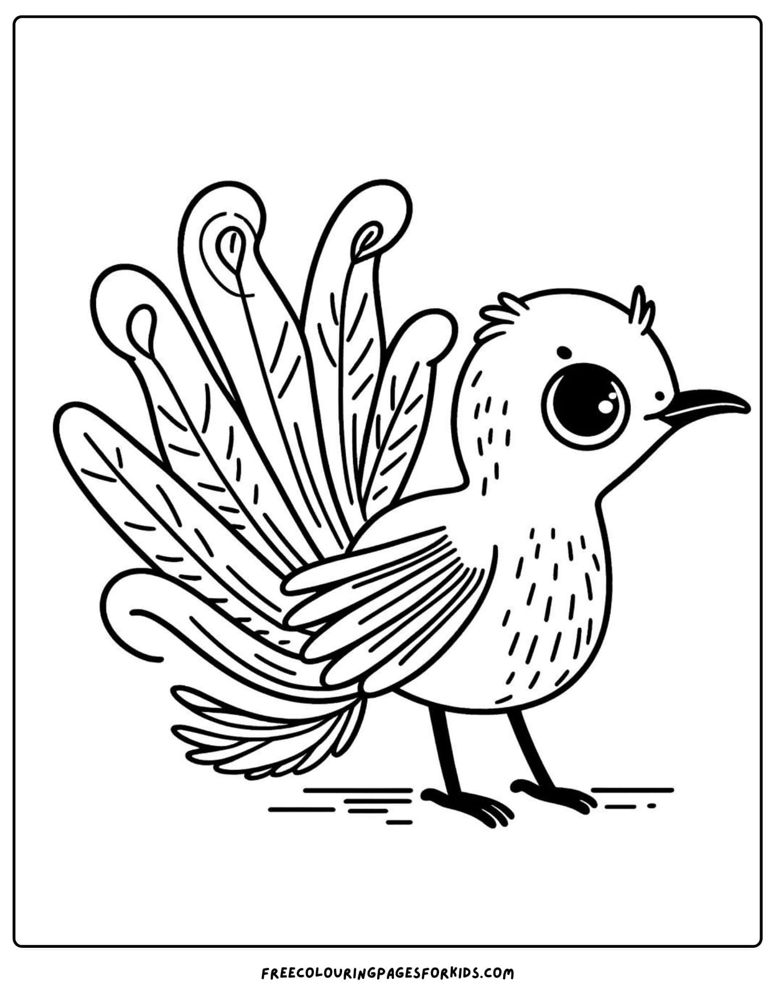 australian animal lyrebird coloring page