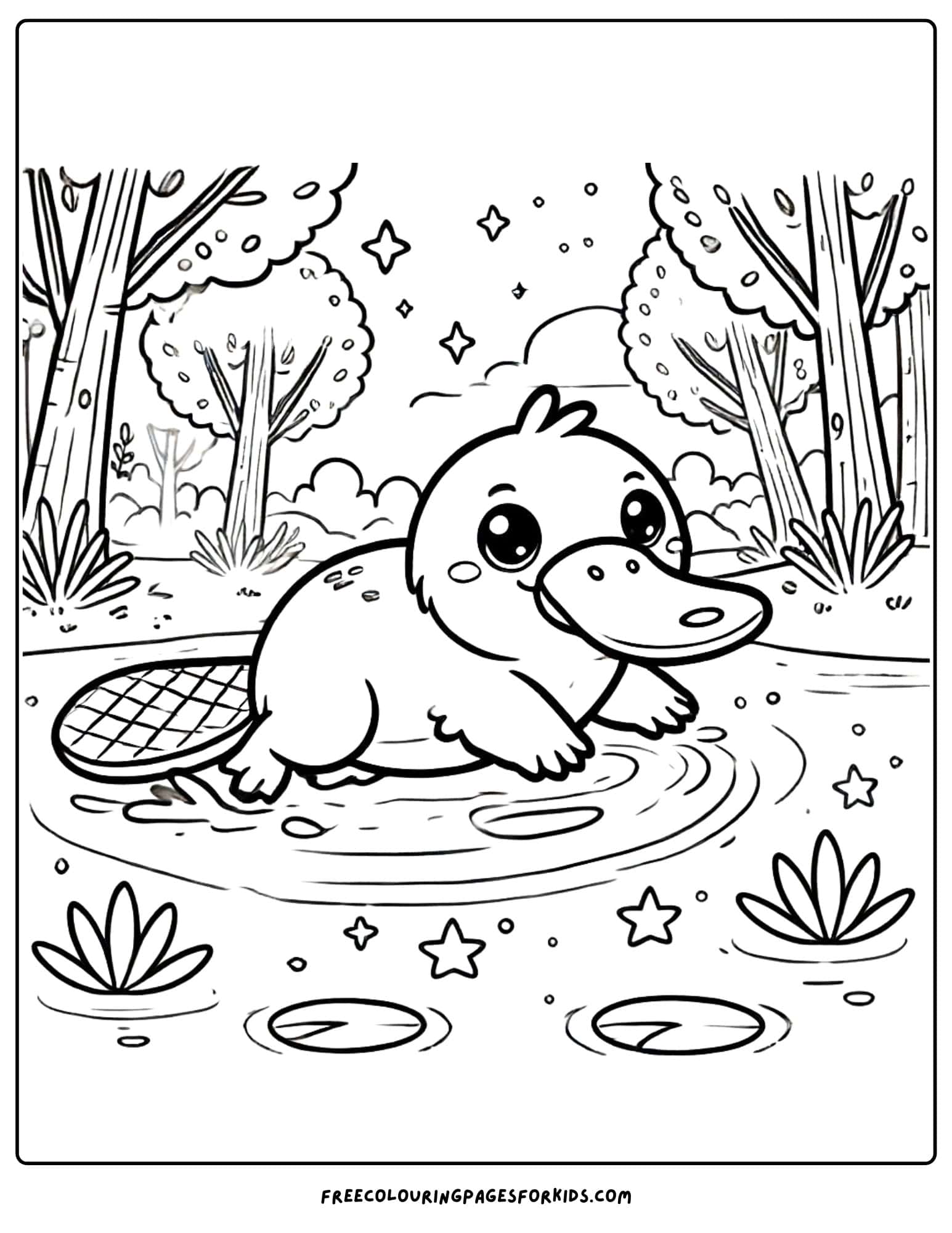 australian animal platypus coloring page