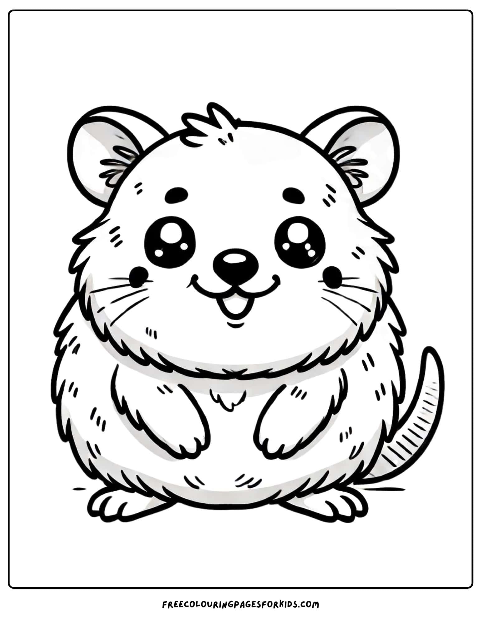 australian animal quokka coloring page