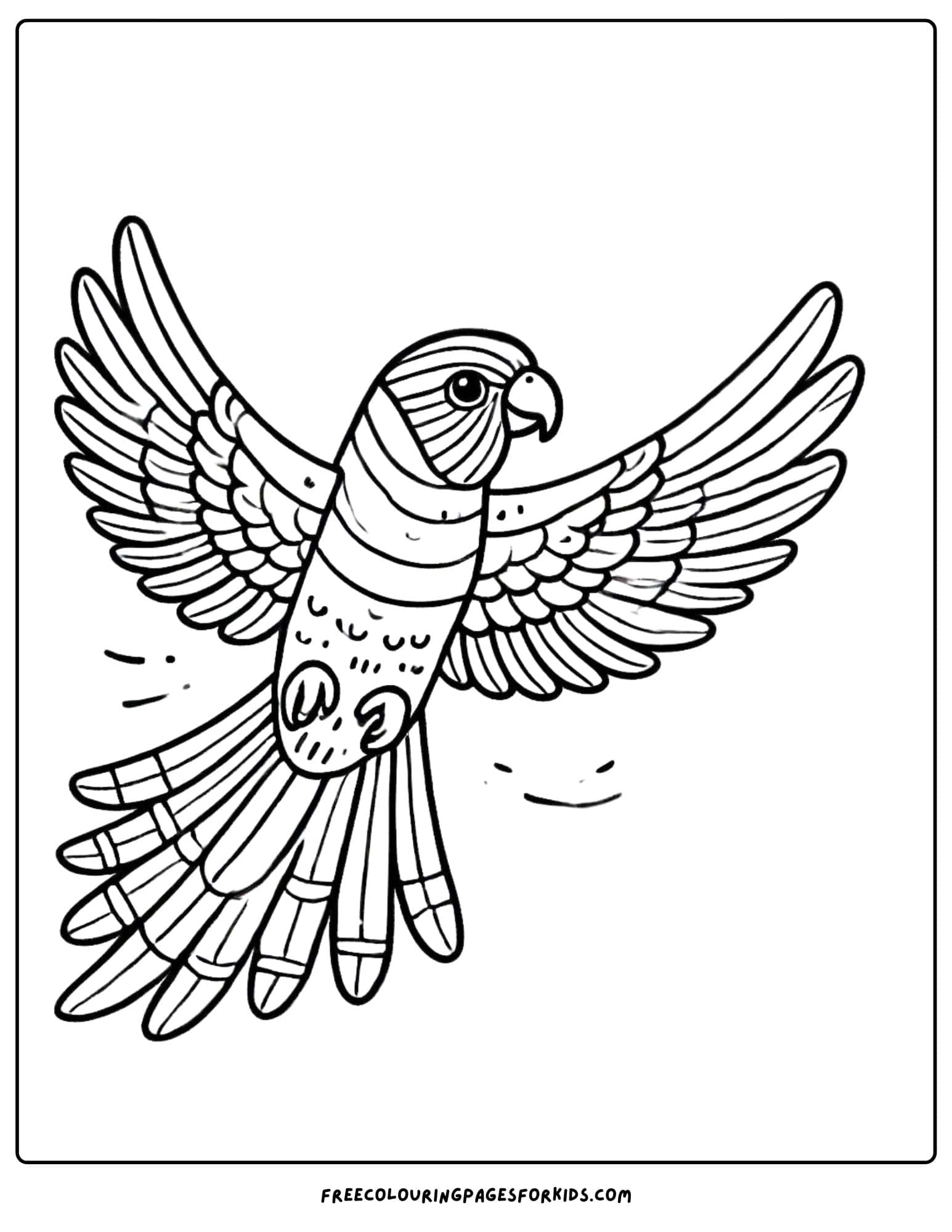 australian animal rainbow lorikeet coloring page