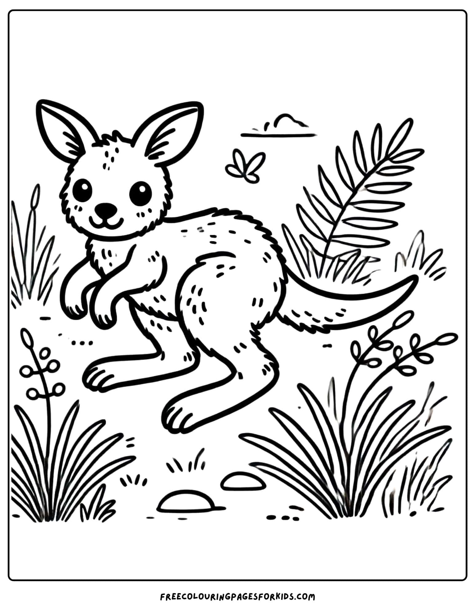 australian animal wallaby coloring page