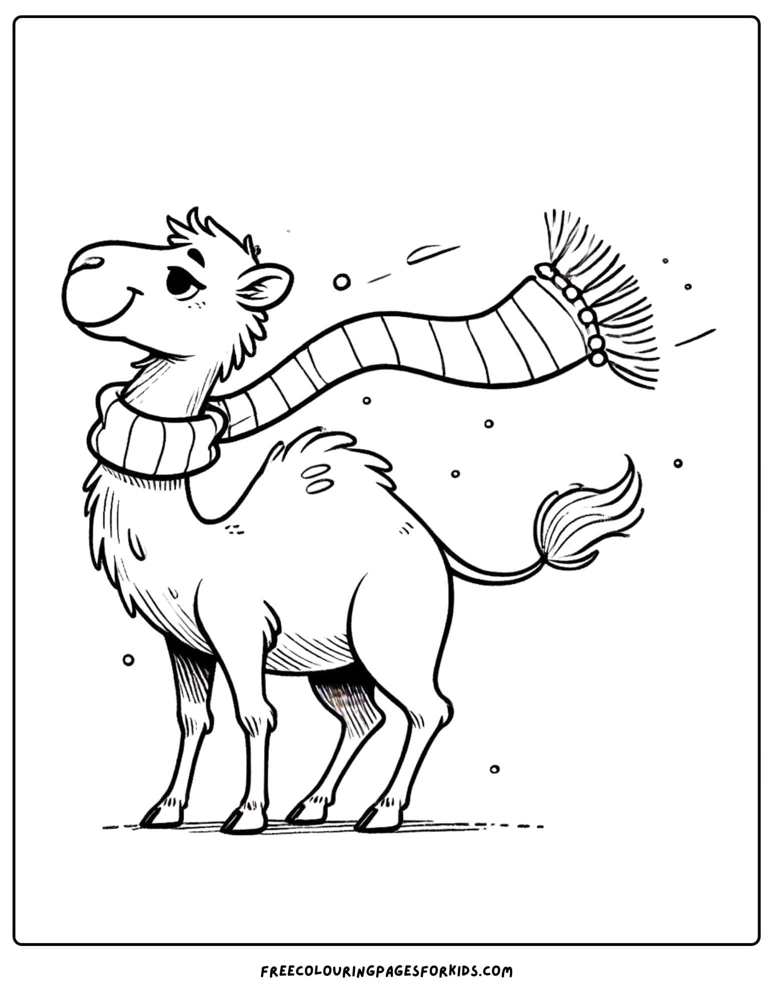 camel wearing a scarf coloring page