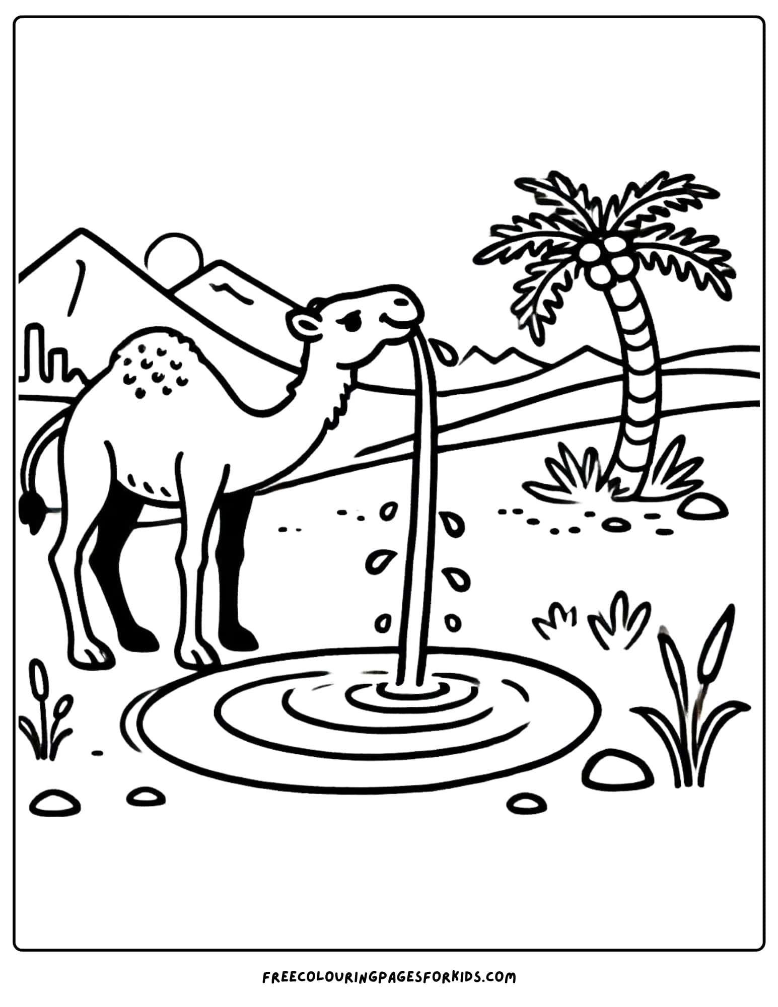 camel drinking at an oasis coloring page