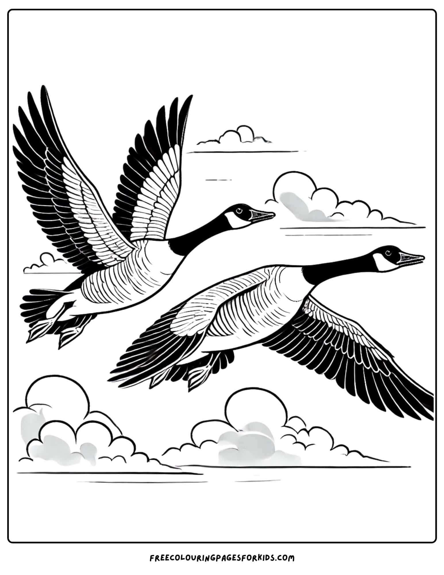 canada geese coloring page