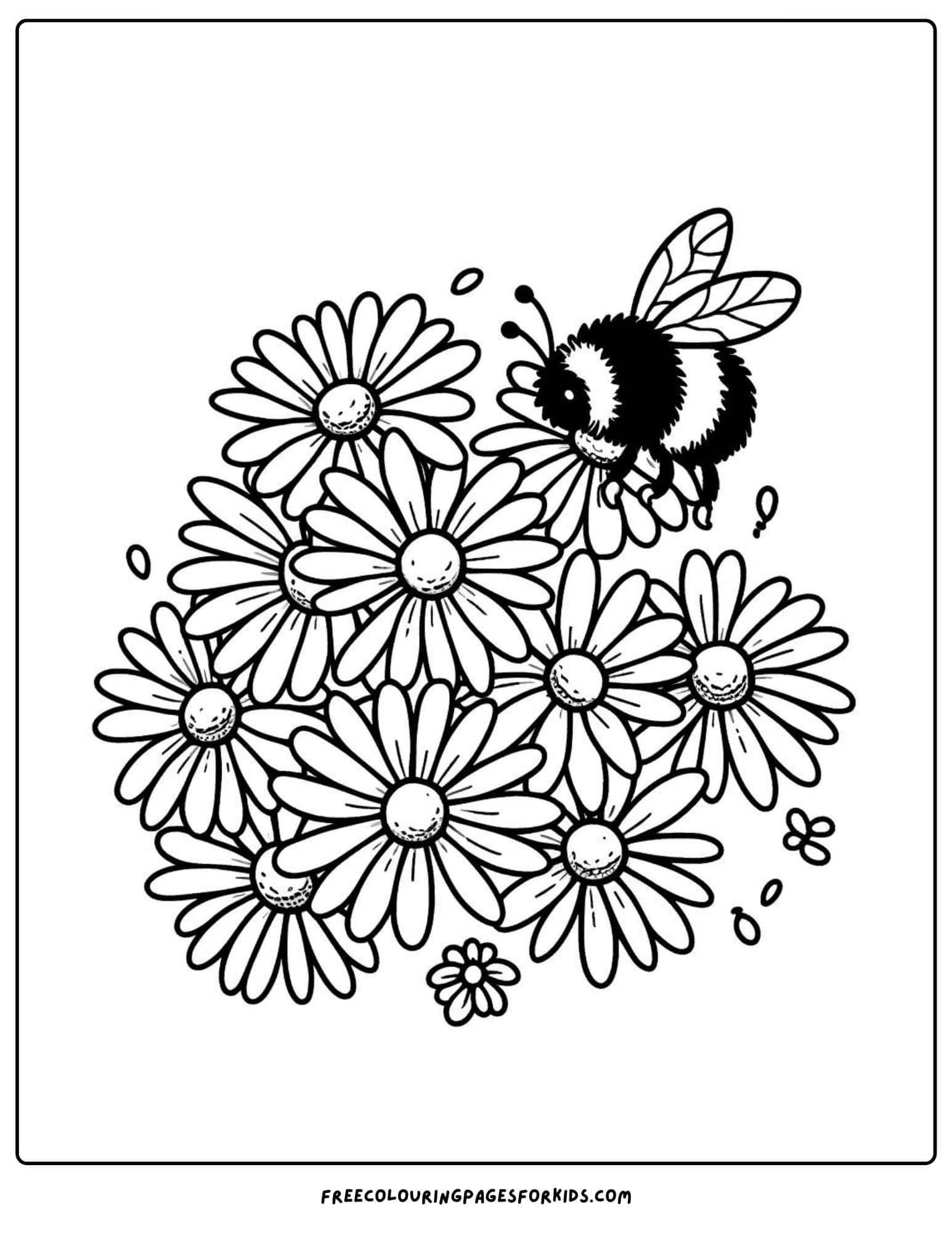 flower daisies and bee coloring page