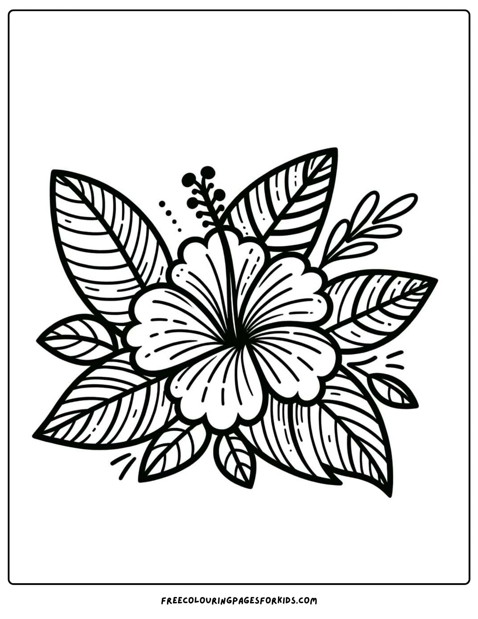 flower hibiscus coloring page