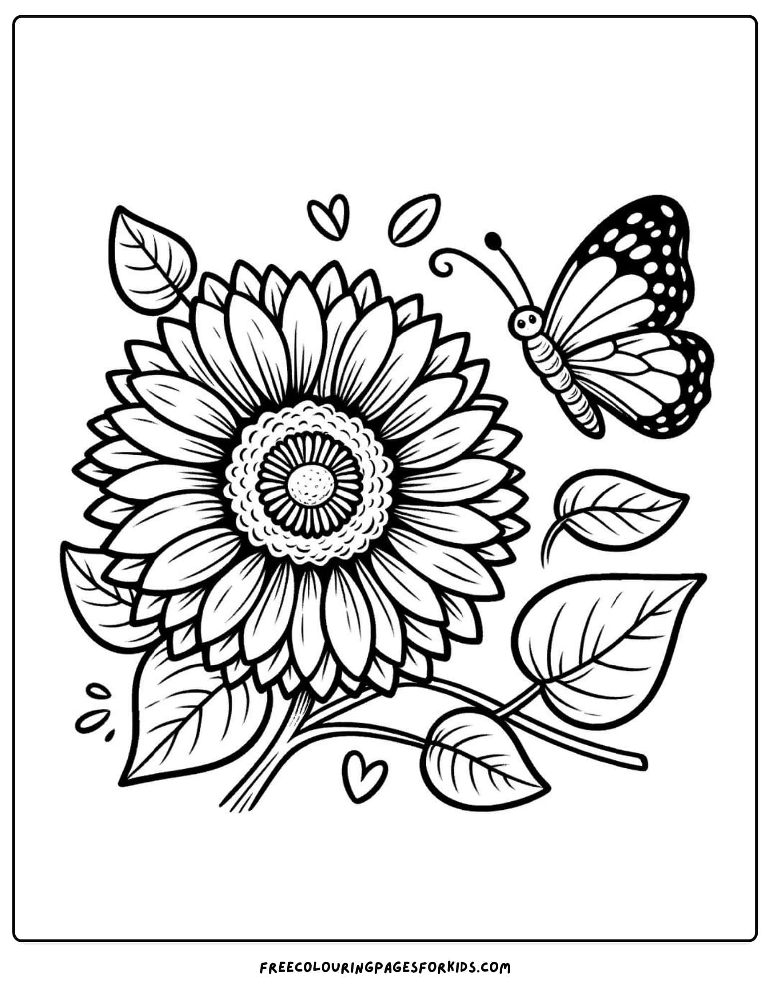 flower sunflowerand butterfly coloring page