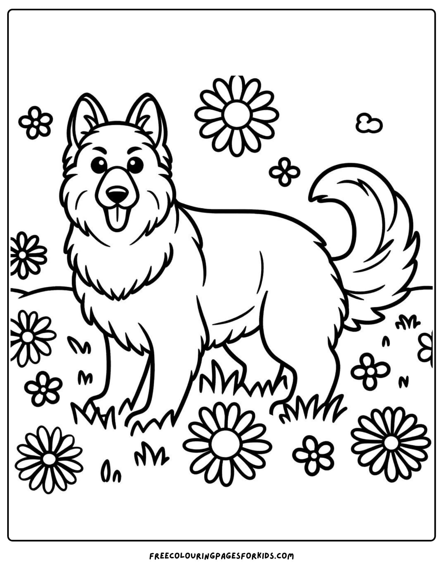 german  shepherd in a flower field coloring page