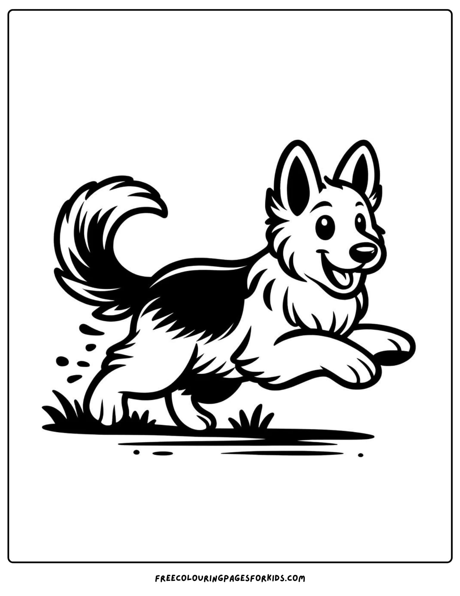 german  shepherd running coloring page