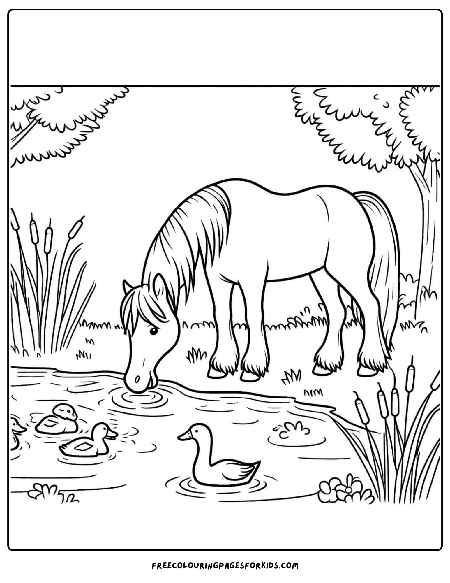 horse at a watering hole coloring page