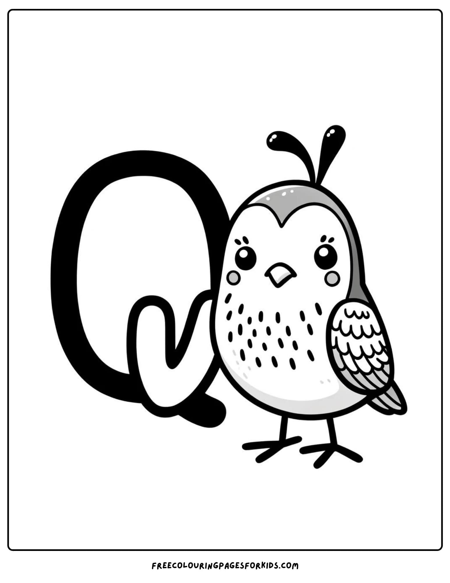 letter q for quail coloring page