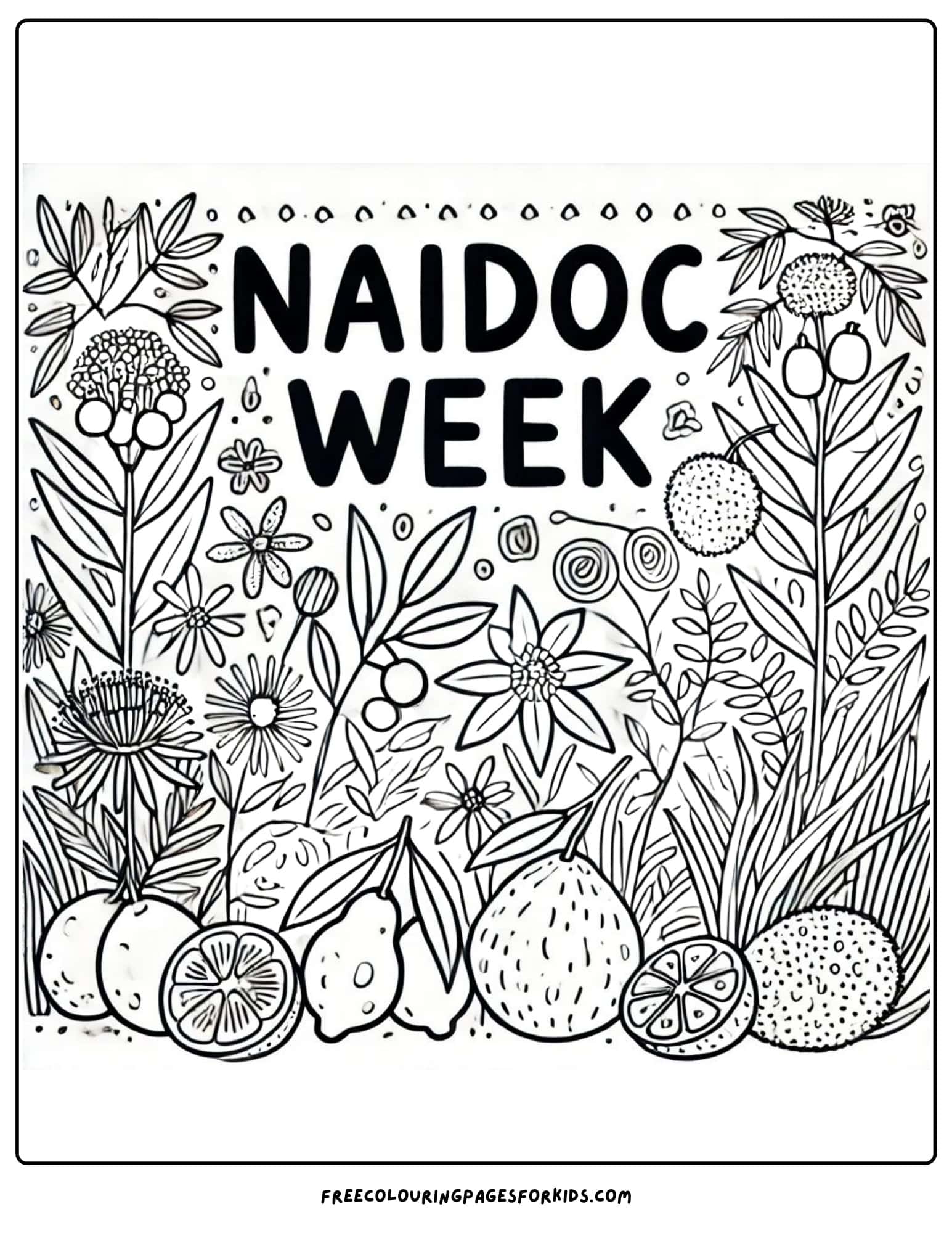 NAIDOC Week outback food colouring page