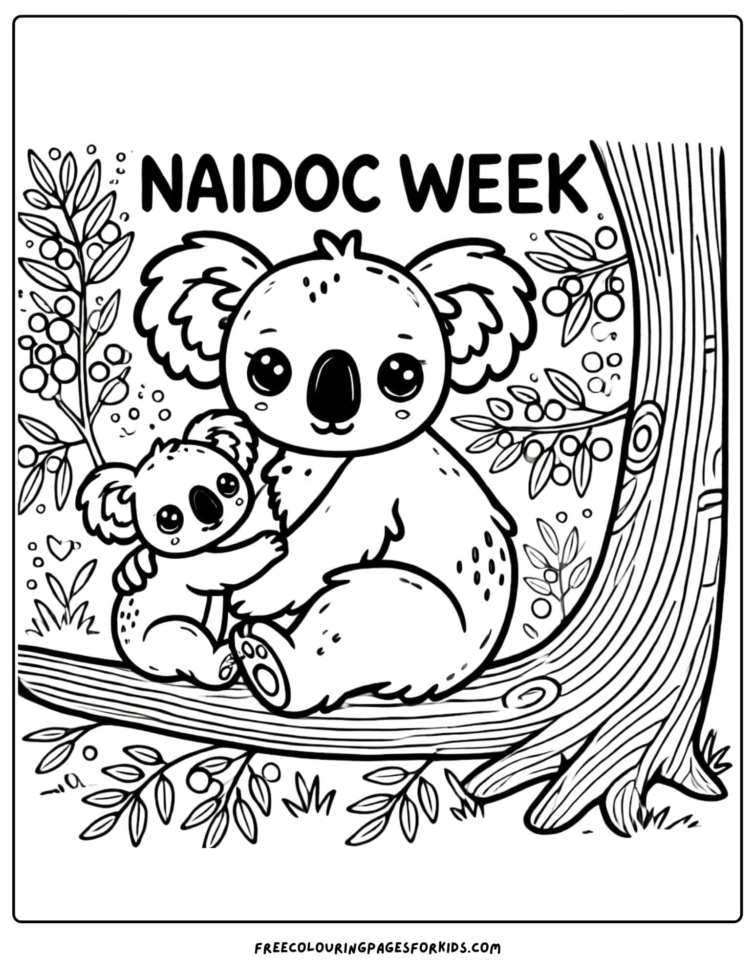 NAIDOC Week koala colouring page