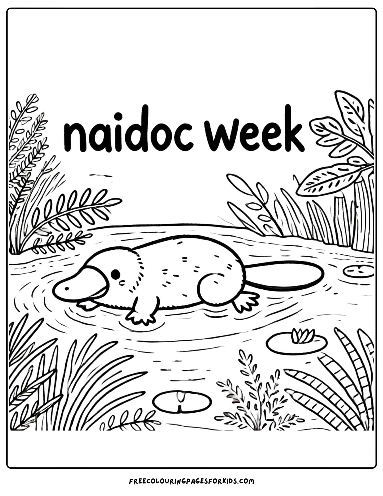 NAIDOC Week platypus colouring page