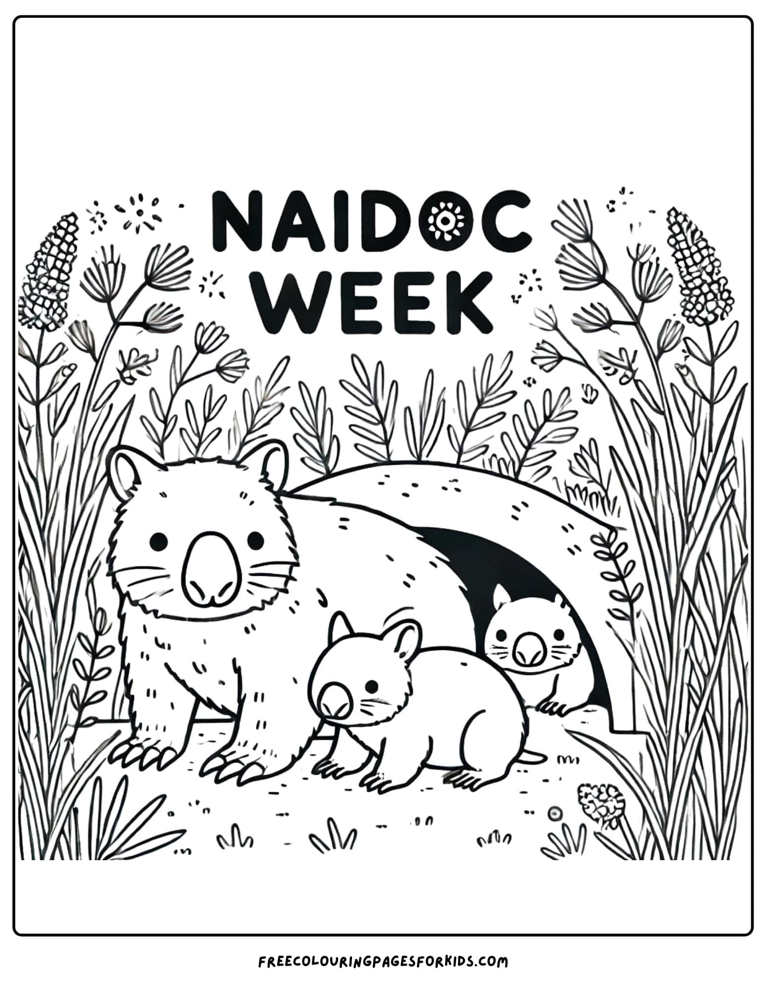 NAIDOC Week wombat colouring page