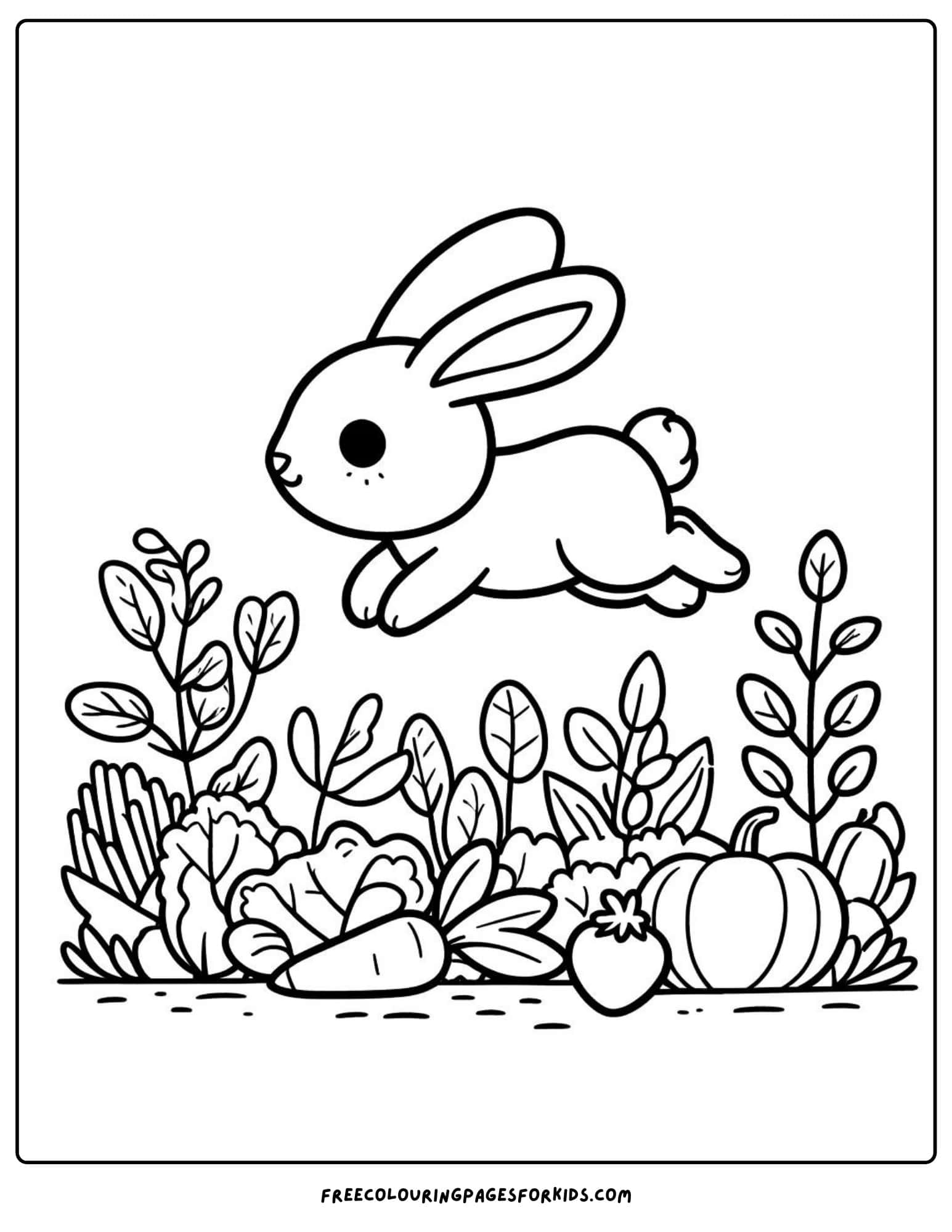 on the farm rabbit coloring page