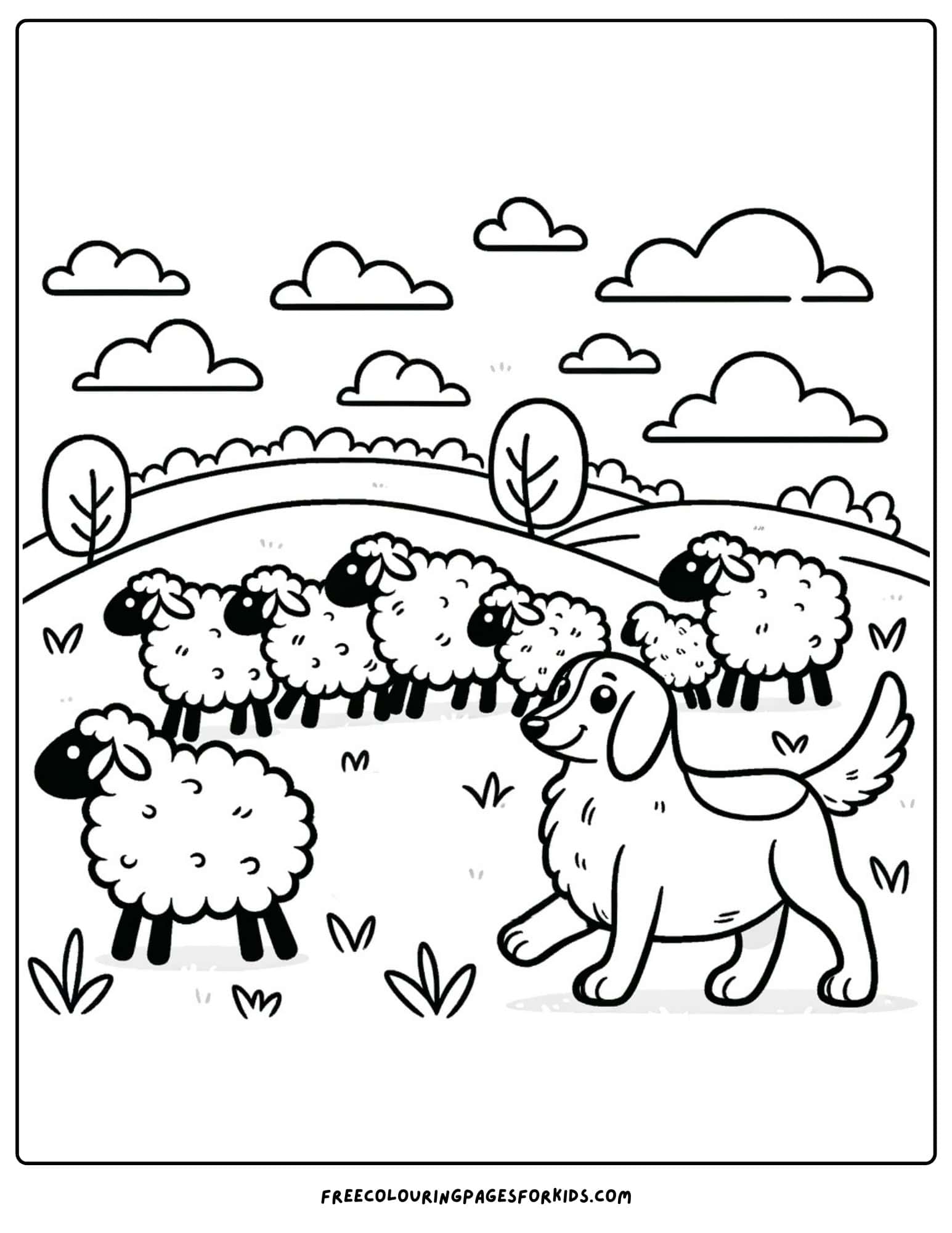 on the farm sheep dog rounding up sheep coloring page