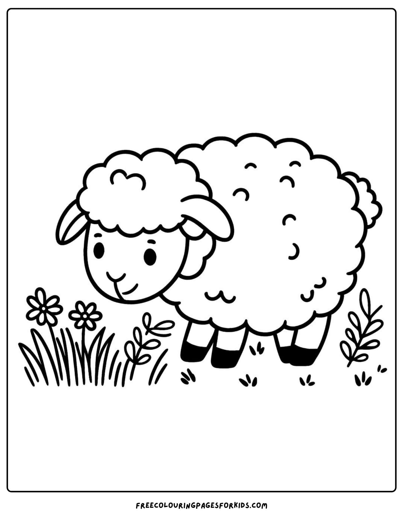 on the farm sheep coloring page