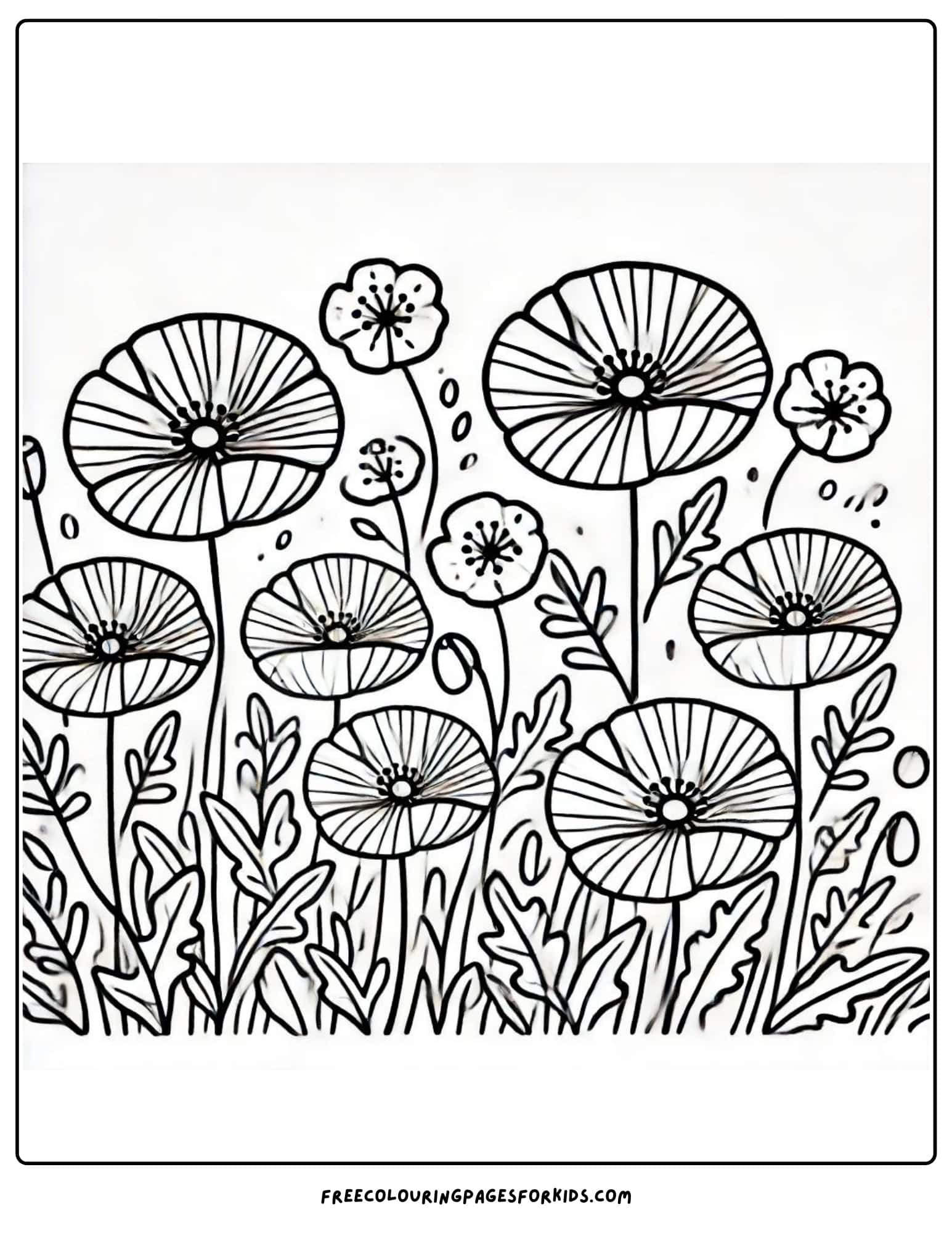 purple heart day poppy flower coloring page