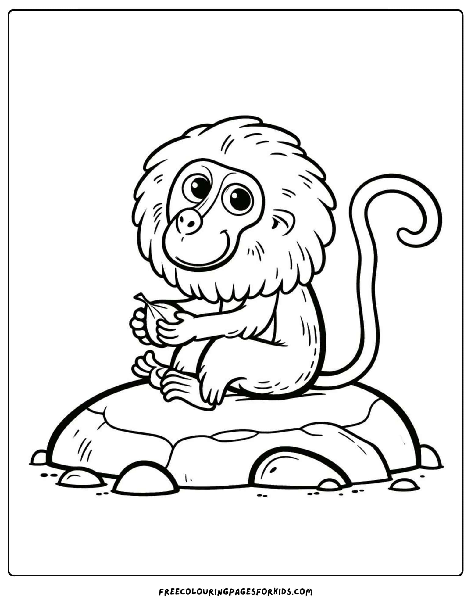 safari animal baboon coloring page