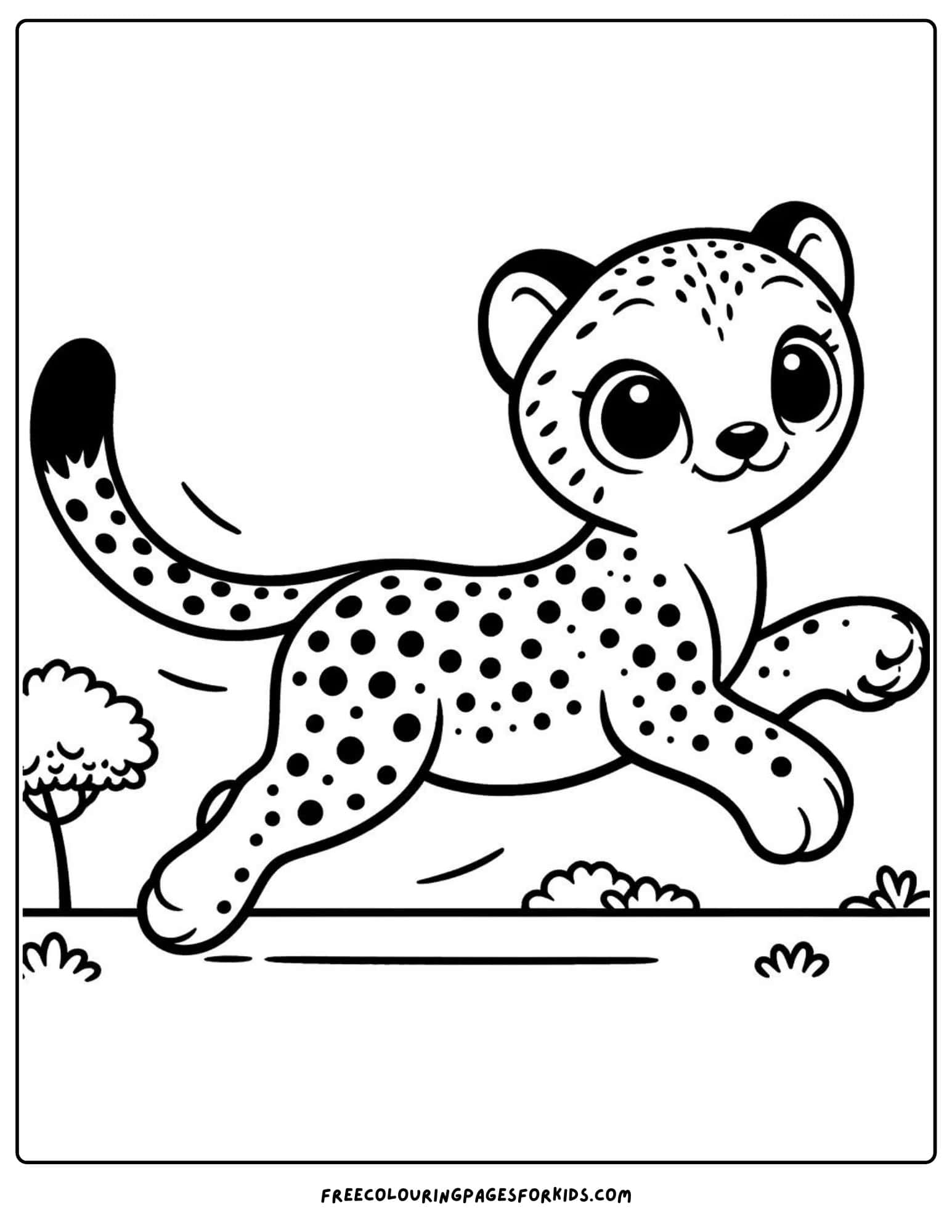 safari animal cheetah coloring page