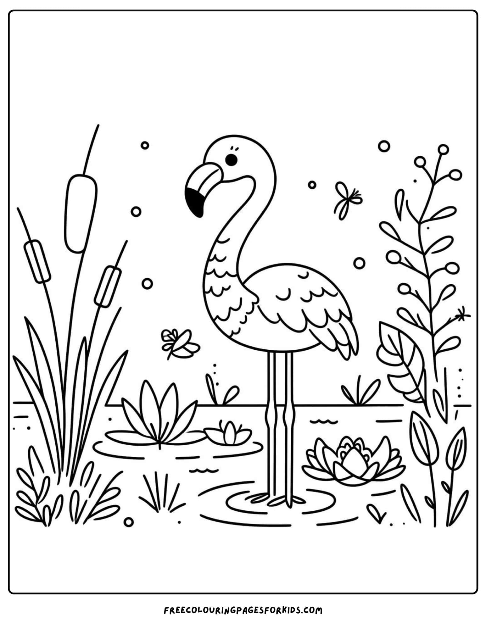 safari animal flamingo coloring page