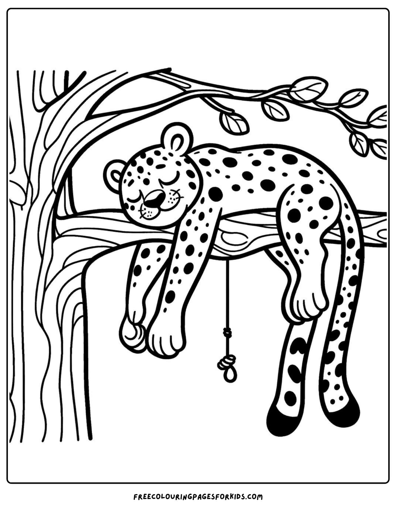 safari animal leopard coloring page