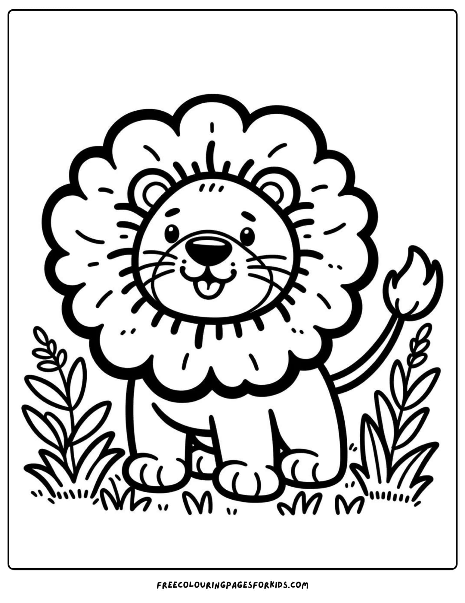 safari animal lion coloring page