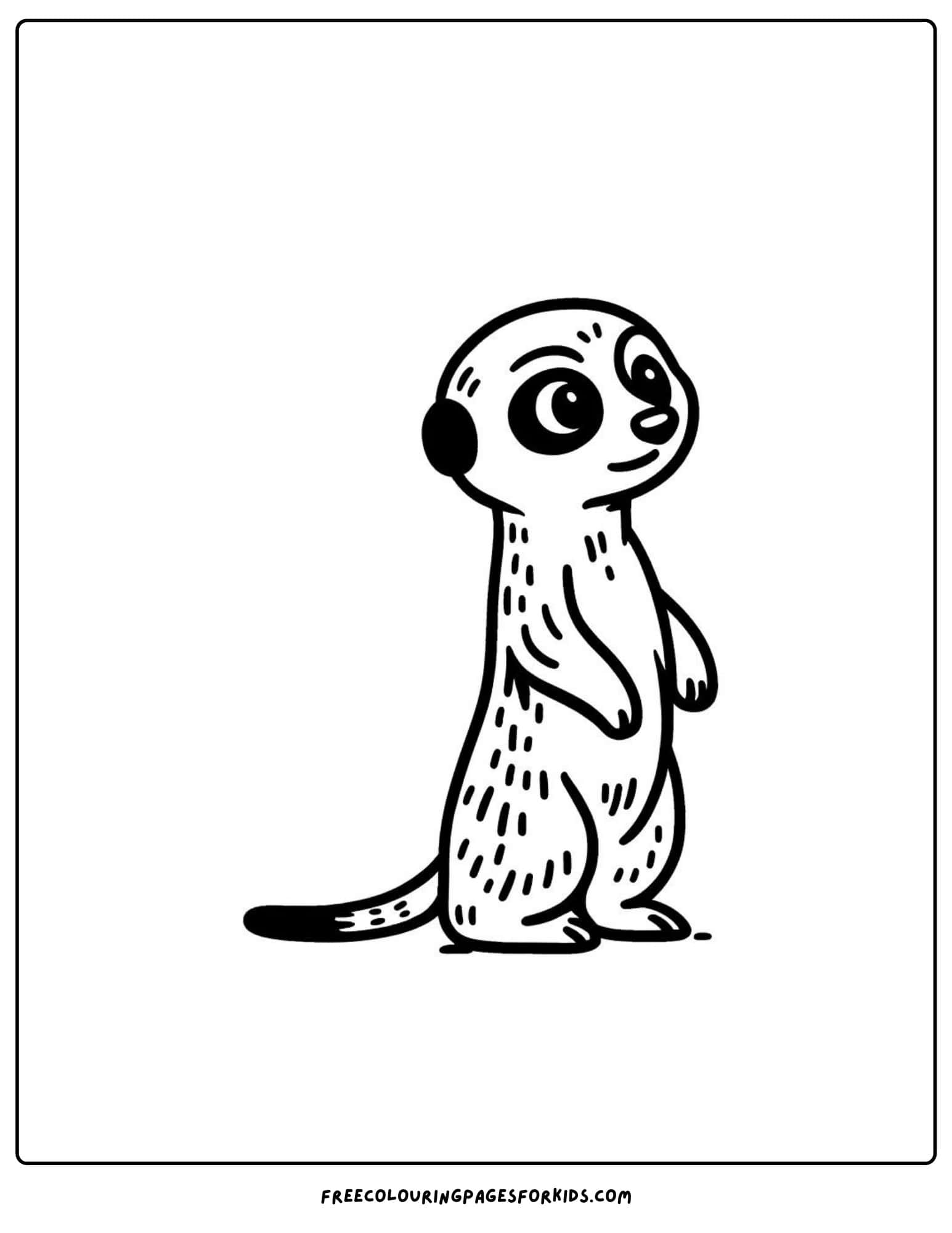 safari animal meerkat coloring page