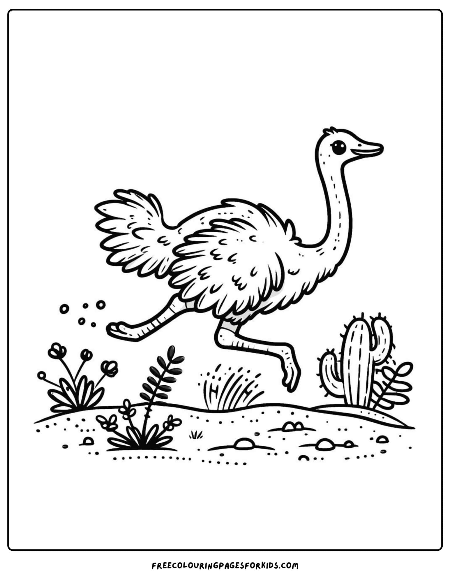 safari animal ostrich coloring page