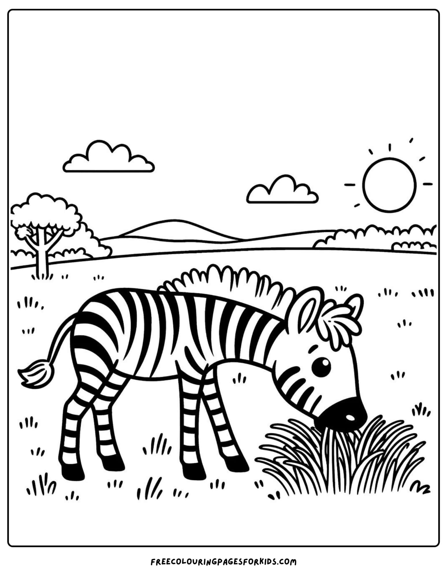 safari animal zebra coloring page