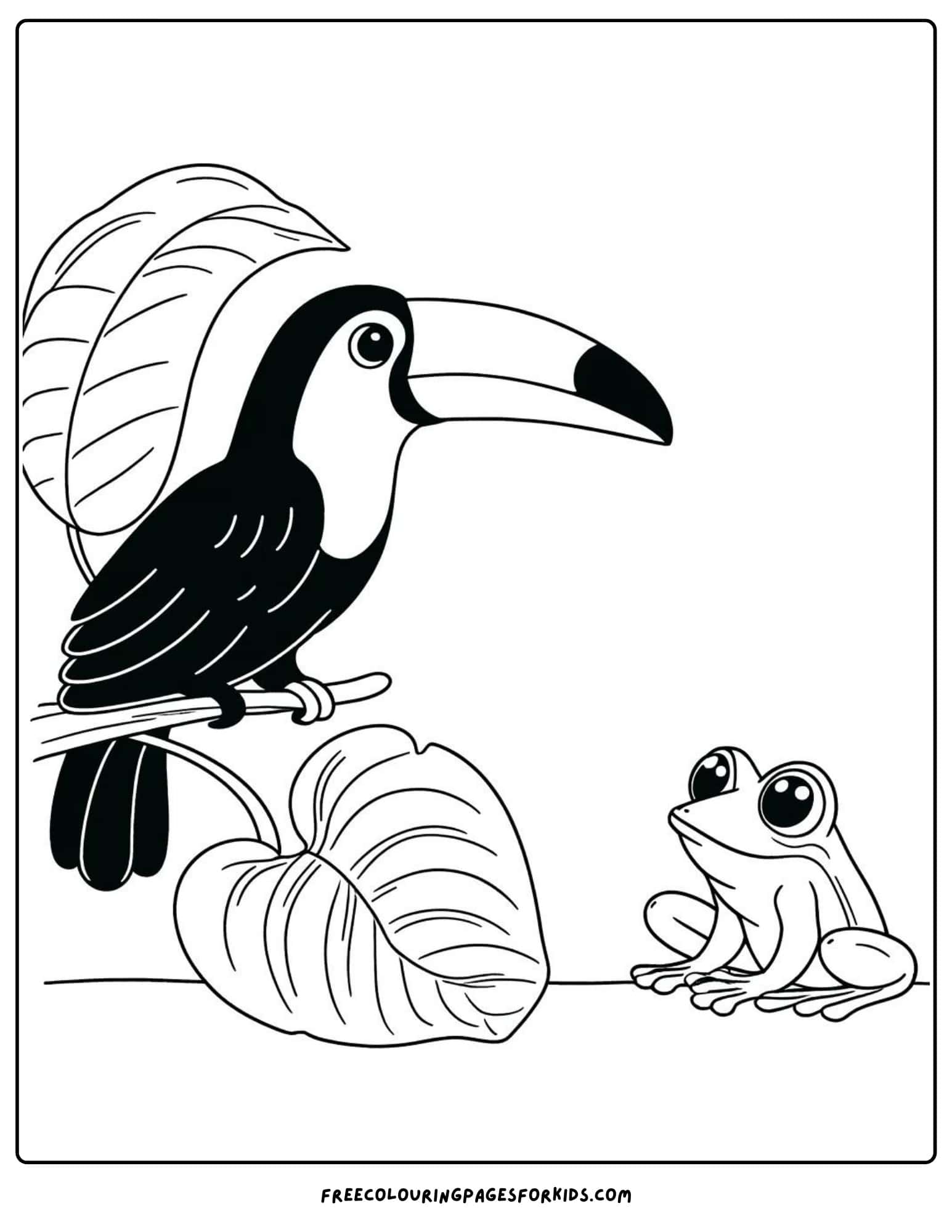 toucan with a frog coloring page