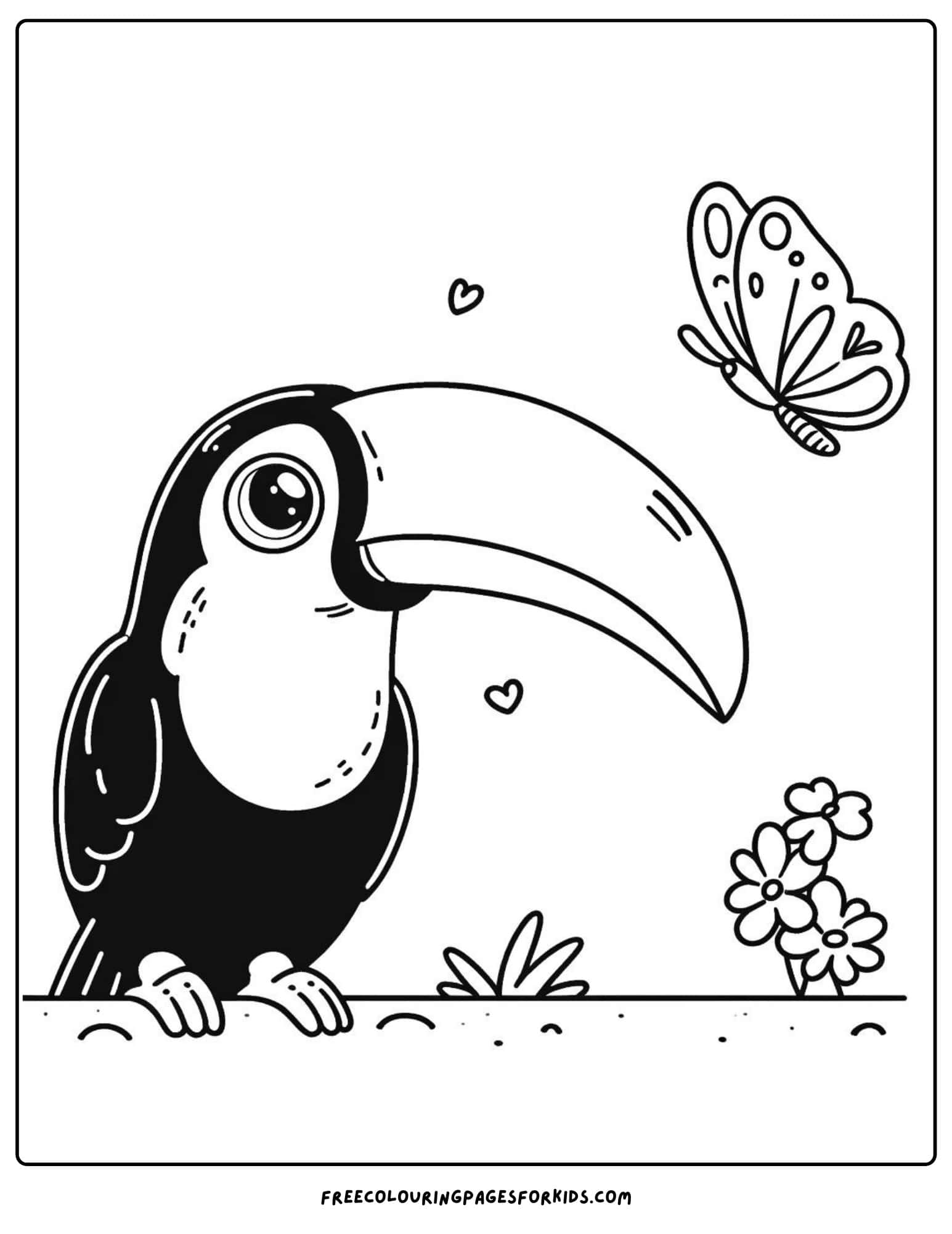 toucan with a butterfly coloring page