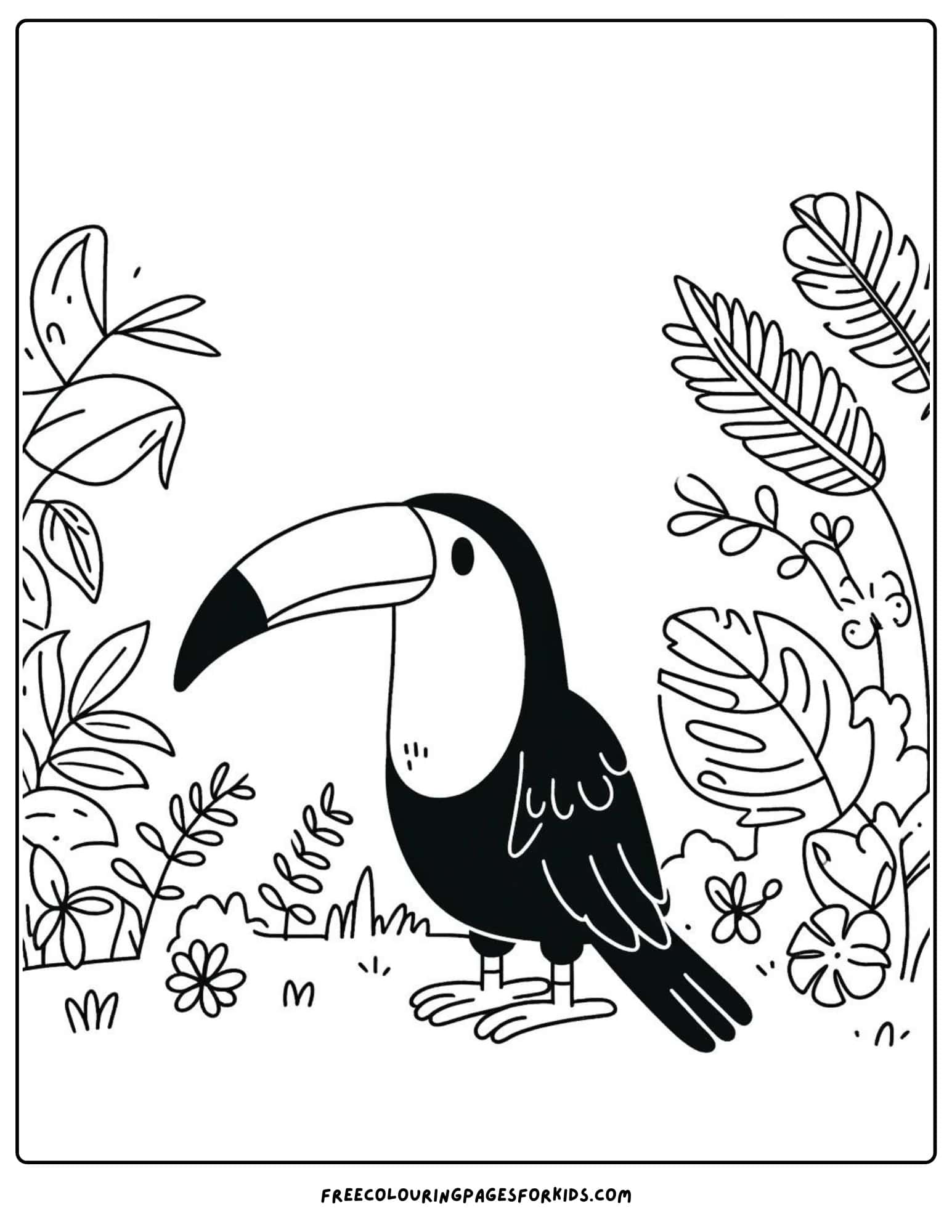 toucan in the jungle coloring page